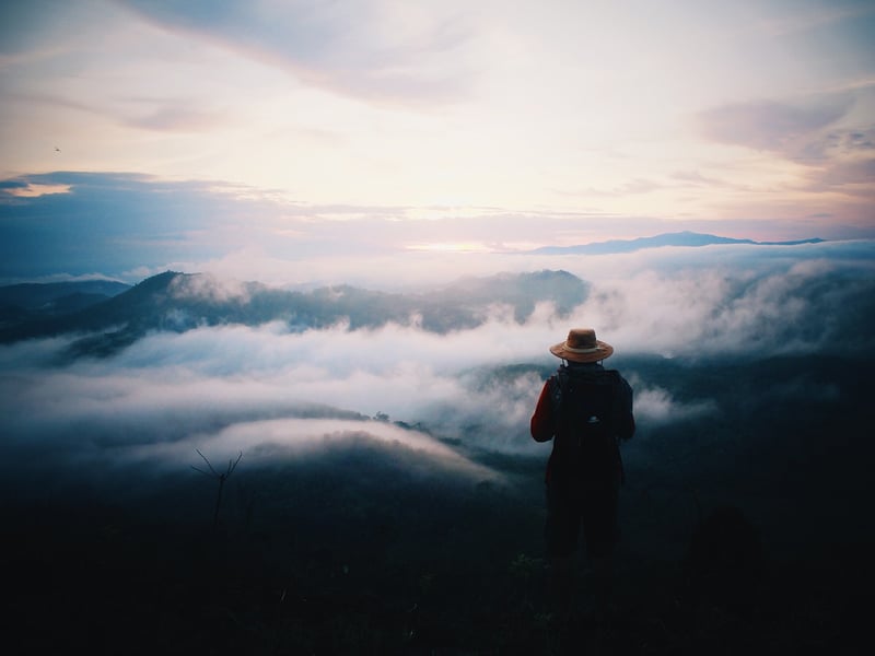 Travelers